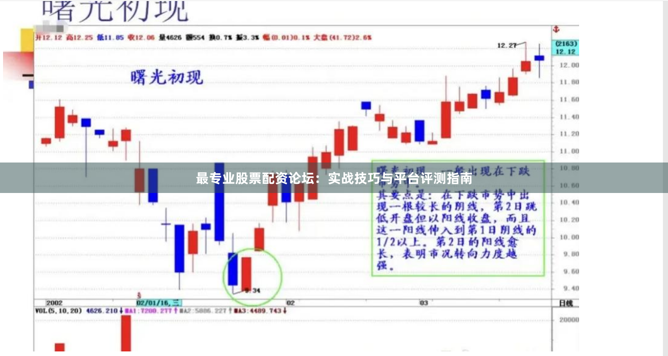 最专业股票配资论坛：实战技巧与平台评测指南